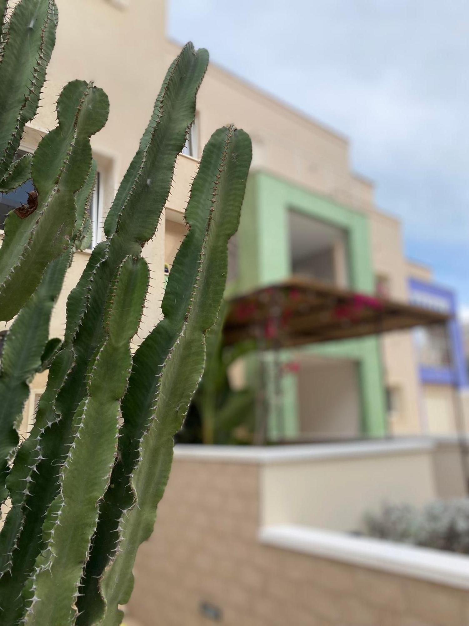 Bolina Luxury Suites Gallipoli Eksteriør billede